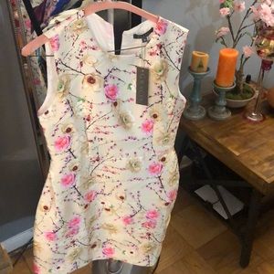 NWT Garcia cream dress!! Gorgeous!
